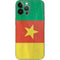 Cameroon Flag Distressed iPhone 14 Pro Max Skin